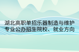 湖北高職單招樂(lè)器制造與維護(hù)專業(yè)公辦招生院校、就業(yè)方向