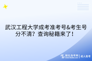 武漢工程大學(xué)成考準(zhǔn)考號&考生號分不清？查詢秘籍來了！