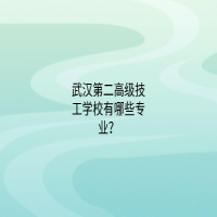 武漢第二高級(jí)技工學(xué)校有哪些專業(yè)？