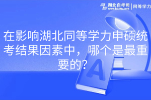 在影響湖北同等學力申碩統(tǒng)考結(jié)果因素中，哪個是最重要的？