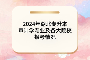 2024年湖北專升本審計學專業(yè)及各大院校報考情況