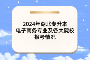 2024年湖北專升本電子商務專業(yè)及各大院校報考情況