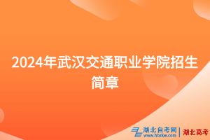 2024年武漢交通職業(yè)學(xué)院招生簡章