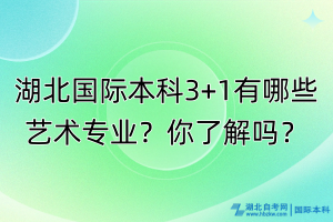 湖北國際本科3+1有哪些藝術(shù)專業(yè)？你了解嗎？