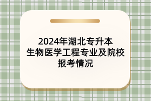 2024年湖北專升本生物醫(yī)學工程專業(yè)及院校報考情況