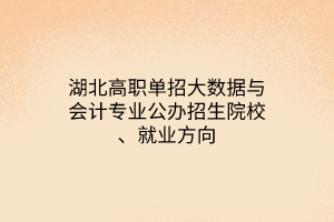 湖北高職單招大數(shù)據(jù)與會計專業(yè)公辦招生院校、就業(yè)方向