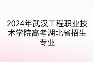 2024年武漢工程職業(yè)技術(shù)學(xué)院高考湖北省招生專業(yè)