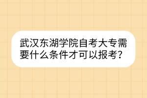 武漢東湖學(xué)院自考大專需要什么條件才可以報考？