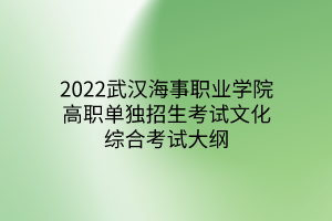 2022武漢海事職業(yè)學(xué)院高職單獨招生考試文化綜合考試大綱