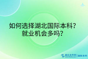 如何選擇湖北國際本科？就業(yè)機會多嗎？