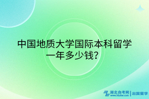 中國(guó)地質(zhì)大學(xué)國(guó)際本科留學(xué)一年多少錢？