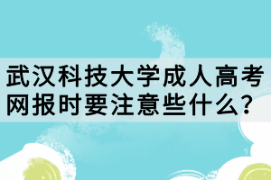 武漢科技大學(xué)成人高考網(wǎng)報(bào)時(shí)要注意些什么？