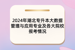 2024年湖北專升本大數(shù)據(jù)管理與應(yīng)用專業(yè)及各大院校報考情況