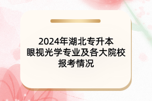 2024年湖北專升本眼視光學(xué)專業(yè)及院校報考情況