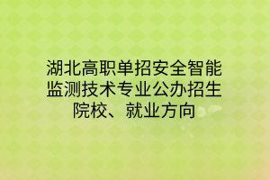 湖北高職單招安全智能監(jiān)測技術(shù)專業(yè)公辦招生院校、就業(yè)方向