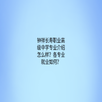 鐘祥長壽職業(yè)高級中學(xué)專業(yè)介紹怎么樣？各專業(yè)就業(yè)如何？