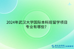 2024年武漢大學國際本科班留學項目專業(yè)有哪些？