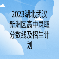 2023湖北武漢新洲區(qū)高中錄取分數線及招生計劃