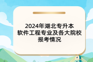 2024年湖北專升本軟件工程專業(yè)及各大院校報(bào)考情況