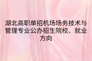 湖北高職單招機(jī)場場務(wù)技術(shù)與管理專業(yè)公辦招生院校、就業(yè)方向