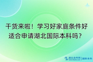 干貨來啦！學(xué)習(xí)好家庭條件好適合申請湖北國際本科嗎？