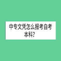 中專(zhuān)文憑怎么報(bào)考自考本科？