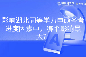 影響湖北同等學力申碩備考進度因素中，哪個影響最大？