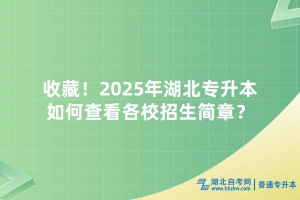 收藏！2025年湖北專升本如何查看各校招生簡章？