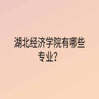 湖北經(jīng)濟(jì)學(xué)院有哪些專業(yè)？