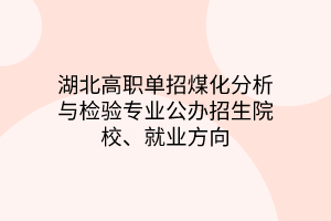 湖北高職單招煤化分析與檢驗(yàn)專業(yè)公辦招生院校、就業(yè)方向