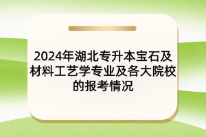 2024年湖北專升本寶石及材料工藝學(xué)專業(yè)及院校報(bào)考情況