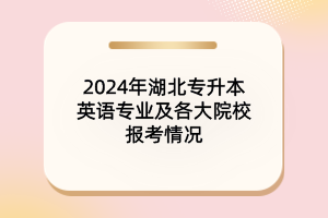 2024年湖北專升本英語專業(yè)及各大院校報考情況