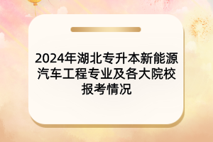 2024年湖北專升本新能源汽車工程專業(yè)及院校報(bào)考情況