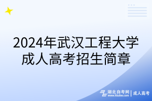 2024年武漢工程大學(xué)成人高考招生簡章