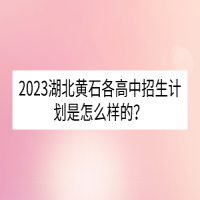 2023湖北黃石各高中招生計劃是怎么樣的？