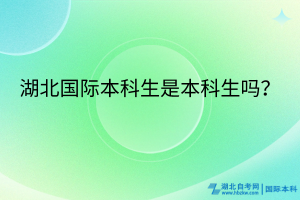 湖北國(guó)際本科生是本科生嗎？