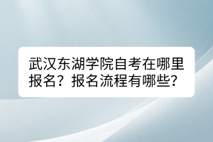 武漢東湖學(xué)院自考在哪里報名？報名流程有哪些？