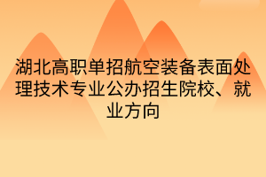 湖北高職單招航空裝備表面處理技術(shù)專業(yè)公辦招生院校、就業(yè)方向