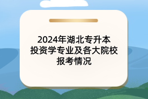 2024年湖北專升本投資學(xué)專業(yè)及各大院校報考情況