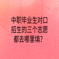 中職畢業(yè)生對(duì)口招生的三個(gè)志愿都去哪里填？