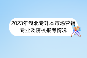 2023年湖北專升本市場營銷專業(yè)及院校報(bào)考情況