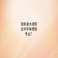 陽新縣木港職業(yè)中學有哪些專業(yè)？