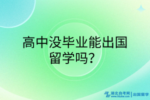 高中沒畢業(yè)能出國留學嗎？