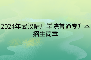 2024年武漢晴川學(xué)院普通專升本招生簡章