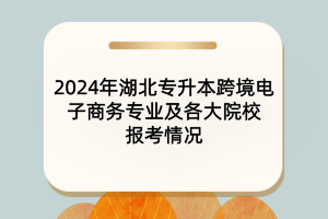 2024年湖北專升本跨境電子商務(wù)專業(yè)及各大院校報考情況