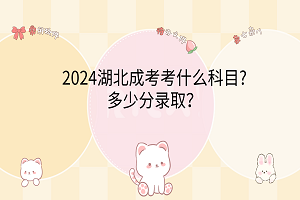 2024湖北成考考什么科目?多少分錄??？