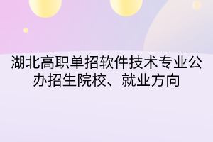 湖北高職單招軟件技術(shù)專業(yè)公辦招生院校、就業(yè)方向