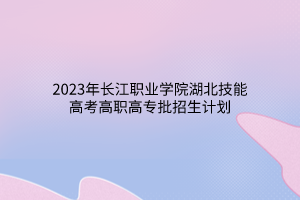 2023年長江職業(yè)學院湖北技能高考高職高專批招生計劃