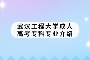 武漢工程大學(xué)成人高考?？茖I(yè)介紹