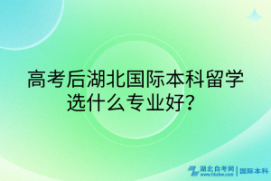 高考后湖北國際本科留學選什么專業(yè)好？